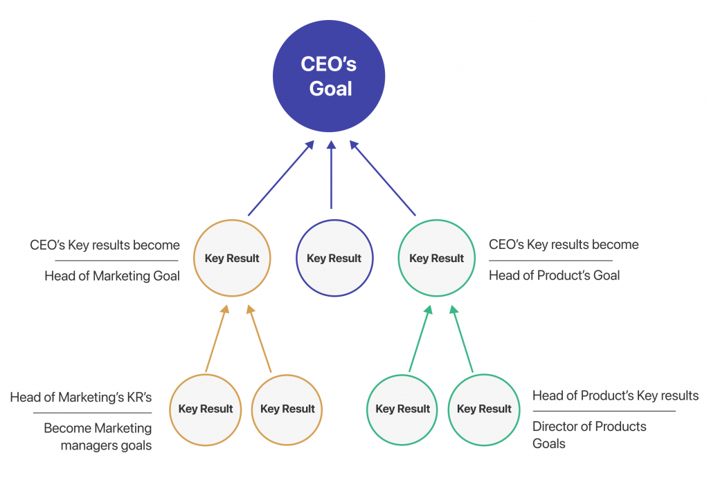 Aligning vs Cascading OKRs - The North